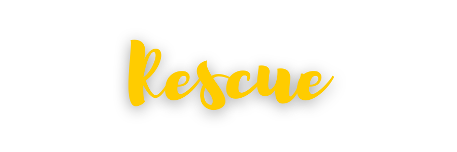 Rescue